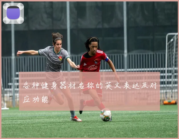各种健身器材名称的英文表达及对应功能
