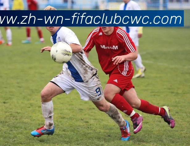 多媒体互动体验