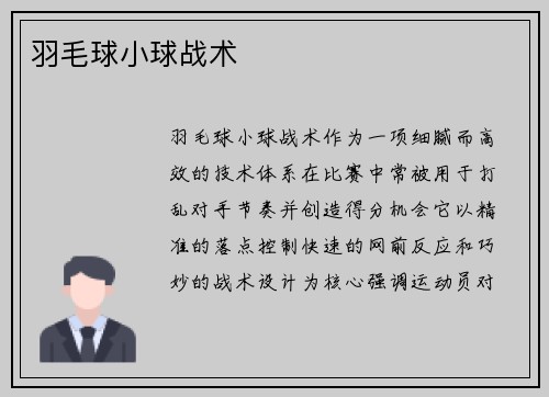 羽毛球小球战术